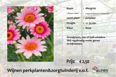 margriet