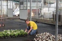 02-perkplanten (2)