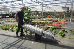 02-perkplanten (4)